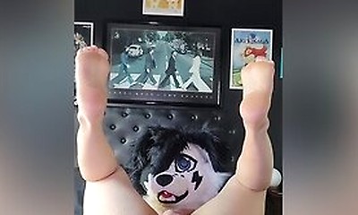 Femboy Furry Stretches His Hole With And Cums With A Bad Dragon Rex Knot Smashing His Puppy Button